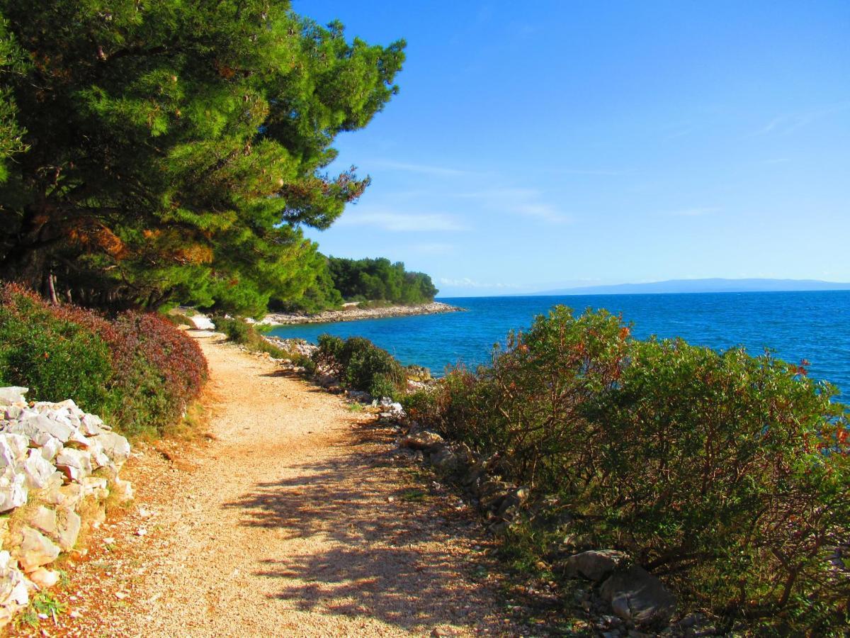 Summer Dream Directly At The Sea *