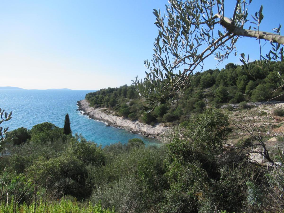 Apartment Summer Dream Directly At The Sea